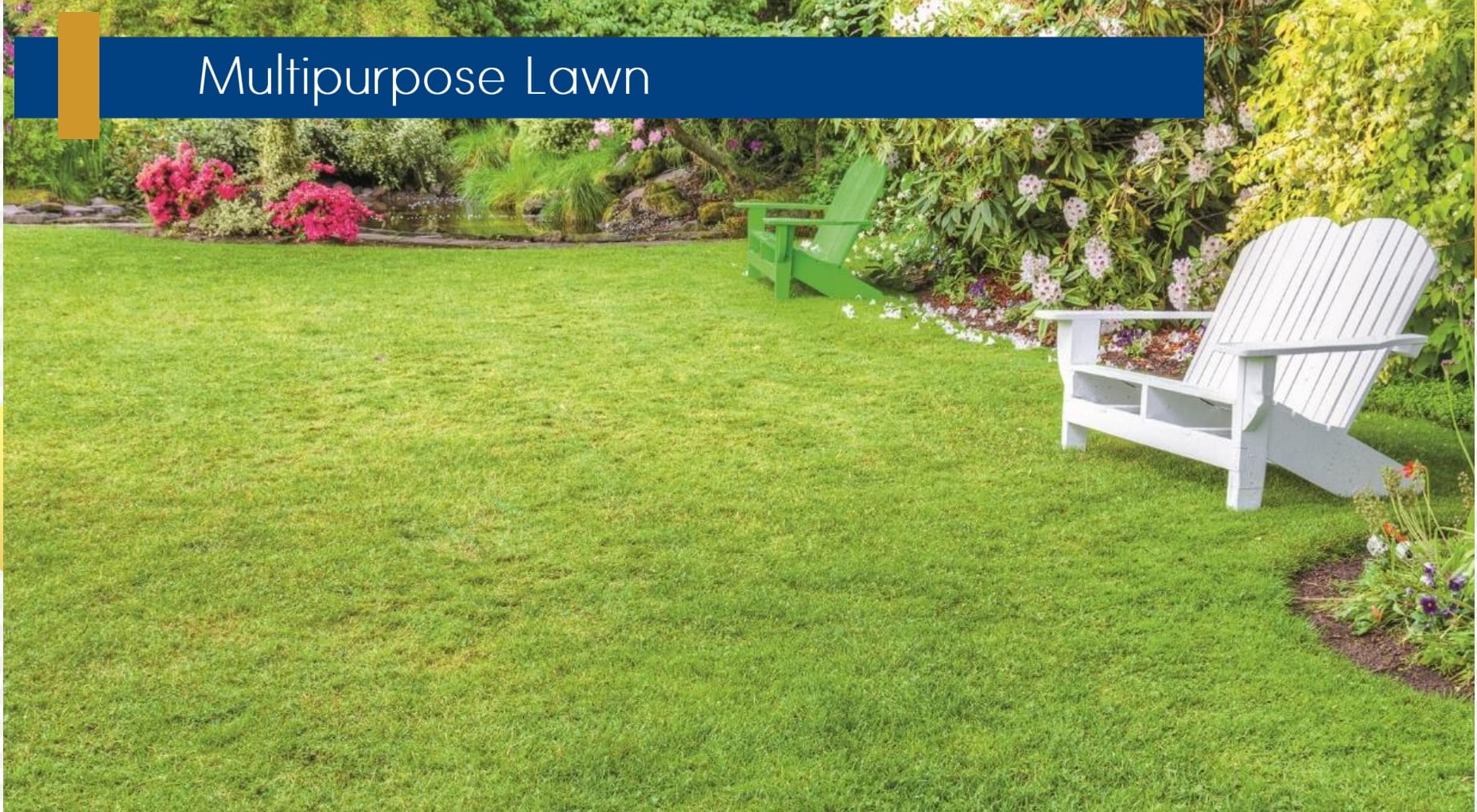 Signature Global City 81 image 14