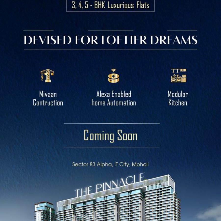 WhatsApp Image 2024-11-21 at 17.06.59_86b3a0d6